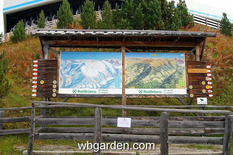 wbgarden alps 14.JPG